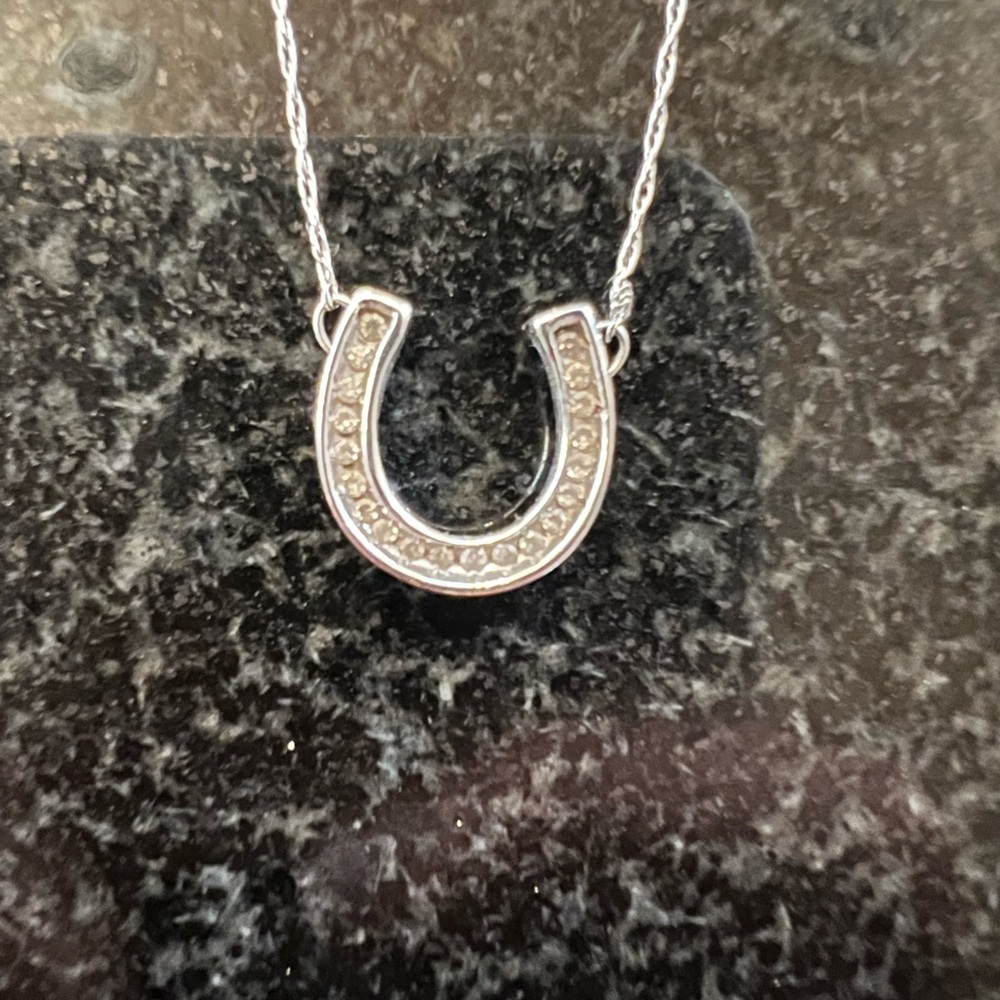 10k white gold horseshoe necklace